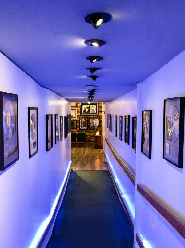 Famous Musician Property